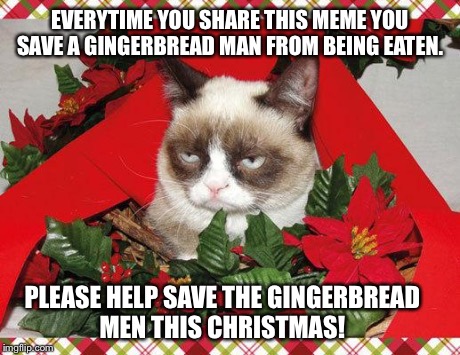 Please Save The Gingerbread Men! | EVERYTIME YOU SHARE THIS MEME YOU SAVE A GINGERBREAD MAN FROM BEING EATEN. PLEASE HELP SAVE THE GINGERBREAD MEN THIS CHRISTMAS! | image tagged in memes,grumpy cat mistletoe,grumpy cat | made w/ Imgflip meme maker