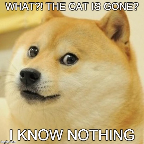 Believe me! | WHAT?! THE CAT IS GONE? I KNOW NOTHING | image tagged in memes,doge | made w/ Imgflip meme maker