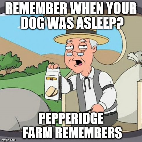 Pepperidge Farm Remembers | REMEMBER WHEN YOUR DOG WAS ASLEEP? PEPPERIDGE FARM REMEMBERS | image tagged in memes,pepperidge farm remembers | made w/ Imgflip meme maker