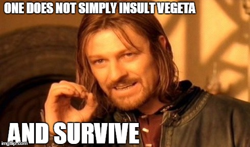 One Does Not Simply Meme | ONE DOES NOT SIMPLY INSULT VEGETA AND SURVIVE | image tagged in memes,one does not simply | made w/ Imgflip meme maker