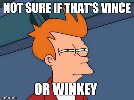 Futurama Fry | NOT SURE IF THAT'S VINCE OR WINKEY | image tagged in memes,futurama fry | made w/ Imgflip meme maker