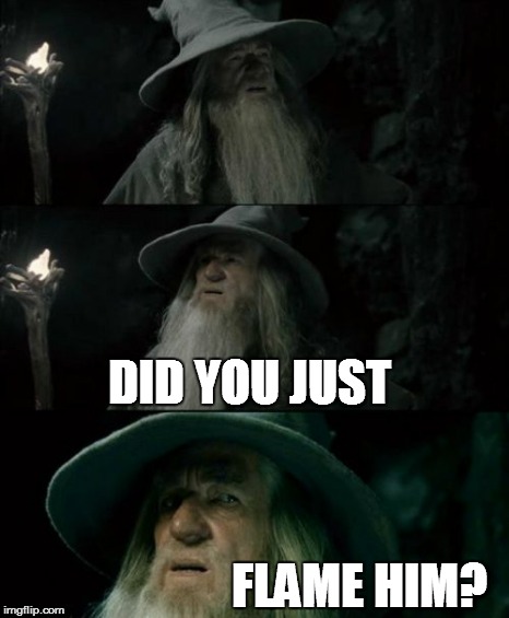 Confused Gandalf Meme | DID YOU JUST FLAME HIM? | image tagged in memes,confused gandalf | made w/ Imgflip meme maker