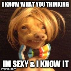 selfies | I KNOW WHAT YOU THINKING IM SEXY & I KNOW IT | image tagged in selfies | made w/ Imgflip meme maker