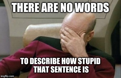 Captain Picard Facepalm Meme | THERE ARE NO WORDS TO DESCRIBE HOW STUPID THAT SENTENCE IS | image tagged in memes,captain picard facepalm | made w/ Imgflip meme maker