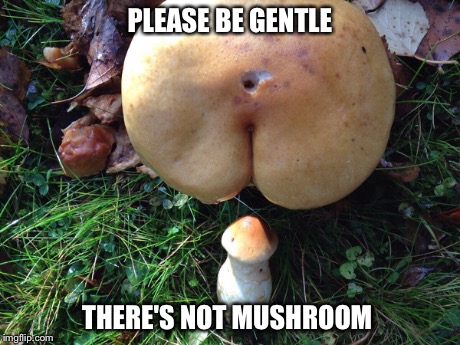 PLEASE BE GENTLE THERE'S NOT MUSHROOM | image tagged in funny,puns,food,hilarious,punny,butt | made w/ Imgflip meme maker