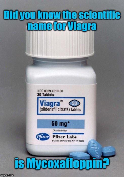 Nature's Way of Saying "No Hard Feelings" | Did you know the scientific name for Viagra is Mycoxafloppin? | image tagged in sexual,medicine | made w/ Imgflip meme maker