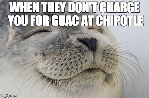 WHEN THEY DON'T CHARGE YOU FOR GUAC AT CHIPOTLE | image tagged in satisfied seal | made w/ Imgflip meme maker