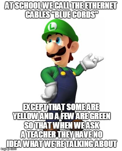 Logic Luigi | AT SCHOOL WE CALL THE ETHERNET CABLES "BLUE CORDS" EXCEPT THAT SOME ARE YELLOW AND A FEW ARE GREEN SO THAT WHEN WE ASK A TEACHER THEY HAVE N | image tagged in logic luigi | made w/ Imgflip meme maker