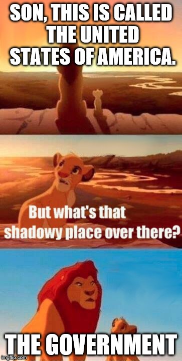 Simba Shadowy Place Meme | SON, THIS IS CALLED THE UNITED STATES OF AMERICA. THE GOVERNMENT | image tagged in memes,simba shadowy place | made w/ Imgflip meme maker