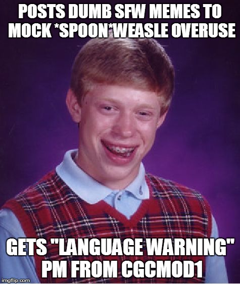 Bad Luck Brian Meme | POSTS DUMB SFW MEMES TO MOCK *SPOON*WEASLE OVERUSE GETS "LANGUAGE WARNING" PM FROM CGCMOD1 | image tagged in memes,bad luck brian | made w/ Imgflip meme maker