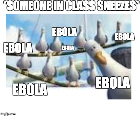 Ebola-la-la-la-la | *SOMEONE IN CLASS SNEEZES* EBOLA EBOLA EBOLA EBOLA EBOLA EBOLA | image tagged in ebola,seagull,nemo | made w/ Imgflip meme maker