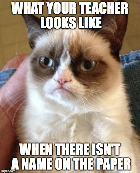 Grumpy Cat | WHAT YOUR TEACHER LOOKS LIKE WHEN THERE ISN'T A NAME ON THE PAPER | image tagged in memes,grumpy cat | made w/ Imgflip meme maker