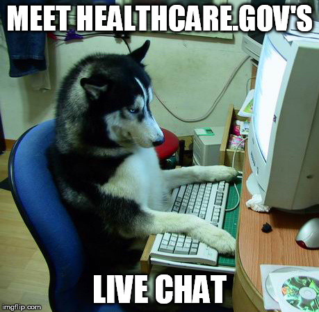 Gone to the Dogs | MEET HEALTHCARE.GOV'S LIVE CHAT | image tagged in memes,i have no idea what i am doing | made w/ Imgflip meme maker