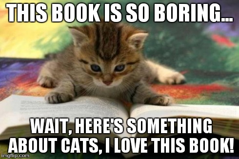 Kitten reading | THIS BOOK IS SO BORING... WAIT, HERE'S SOMETHING ABOUT CATS, I LOVE THIS BOOK! | image tagged in kitten reading | made w/ Imgflip meme maker