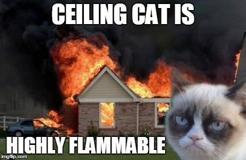Burn Kitty | CEILING CAT IS HIGHLY FLAMMABLE | image tagged in memes,burn kitty | made w/ Imgflip meme maker