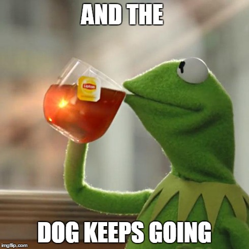 AND THE DOG KEEPS GOING | image tagged in memes,but thats none of my business,kermit the frog | made w/ Imgflip meme maker