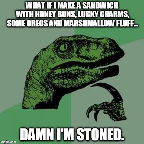 Philosoraptor Meme | WHAT IF I MAKE A SANDWICH WITH HONEY BUNS, LUCKY CHARMS, SOME OREOS AND MARSHMALLOW FLUFF... DAMN I'M STONED. | image tagged in memes,philosoraptor | made w/ Imgflip meme maker