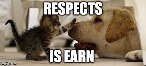 RESPECTS IS EARN | image tagged in kitten bops dog | made w/ Imgflip meme maker