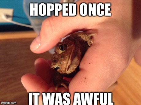 My pet toad | HOPPED ONCE IT WAS AWFUL | image tagged in grumpy toad | made w/ Imgflip meme maker