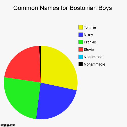 Common Names for Bostonian Boys | image tagged in funny,pie charts,boston,boys,names | made w/ Imgflip chart maker