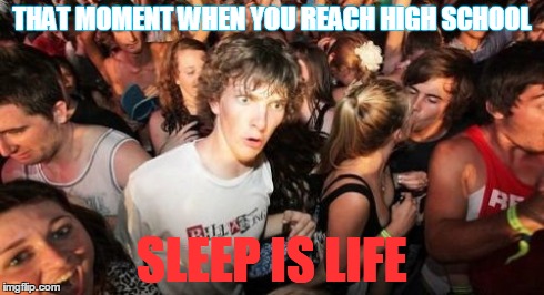 Sudden Clarity Clarence Meme | THAT MOMENT WHEN YOU REACH HIGH SCHOOL SLEEP IS LIFE | image tagged in memes,sudden clarity clarence | made w/ Imgflip meme maker
