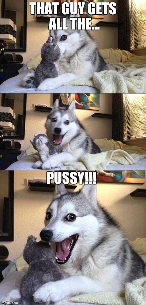 Bad Pun Dog Meme | THAT GUY GETS ALL THE... PUSSY!!! | image tagged in memes,bad pun dog | made w/ Imgflip meme maker