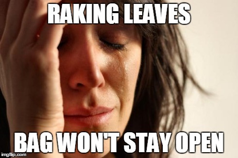 First World Problems Meme | RAKING LEAVES BAG WON'T STAY OPEN | image tagged in memes,first world problems | made w/ Imgflip meme maker