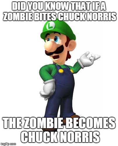 Logic Luigi | DID YOU KNOW THAT IF A ZOMBIE BITES CHUCK NORRIS THE ZOMBIE BECOMES CHUCK NORRIS | image tagged in logic luigi | made w/ Imgflip meme maker