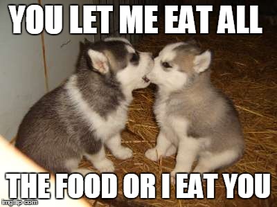 Cute Puppies Meme | YOU LET ME EAT ALL THE FOOD OR I EAT YOU | image tagged in memes,cute puppies | made w/ Imgflip meme maker