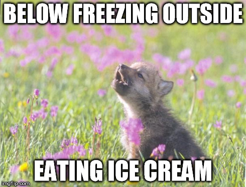 Baby Insanity Wolf Meme | BELOW FREEZING OUTSIDE EATING ICE CREAM | image tagged in memes,baby insanity wolf,AdviceAnimals | made w/ Imgflip meme maker