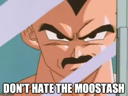 DON'T HATE THE MOOSTASH | made w/ Imgflip meme maker