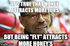 The Fly  | IT'S TRUE THAT HONEY ATTRACTS MORE FLIES BUT BEING "FLY" ATTRACTS MORE HONEY'S | image tagged in the fly | made w/ Imgflip meme maker