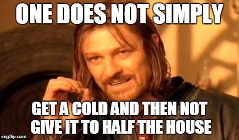 One Does Not Simply | ONE DOES NOT SIMPLY GET A COLD AND THEN NOT GIVE IT TO HALF THE HOUSE | image tagged in memes,one does not simply | made w/ Imgflip meme maker