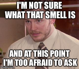 Afraid To Ask Andy Meme | I'M NOT SURE WHAT THAT SMELL IS AND AT THIS POINT I'M TOO AFRAID TO ASK | image tagged in memes,afraid to ask andy | made w/ Imgflip meme maker