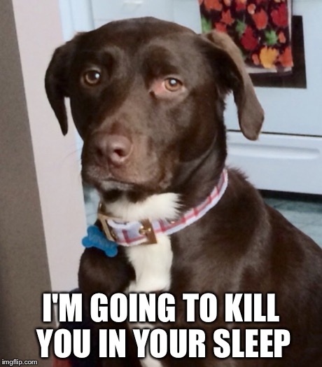 I'M GOING TO KILL YOU IN YOUR SLEEP | made w/ Imgflip meme maker