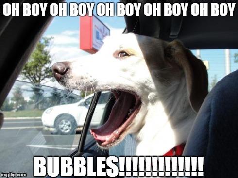 OH BOY OH BOY OH BOY OH BOY OH BOY BUBBLES!!!!!!!!!!!!! | image tagged in rex | made w/ Imgflip meme maker