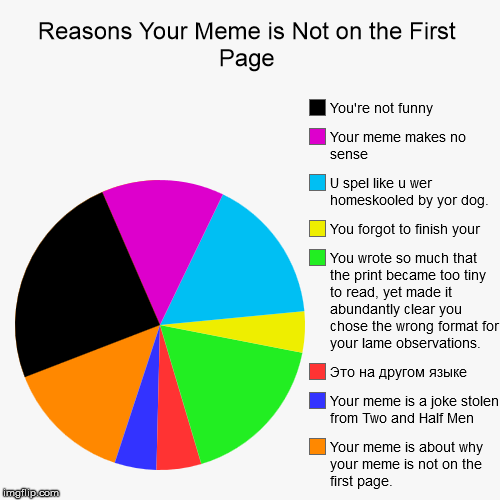 Reasons Your Meme is Not on the First Page | Reasons Your Meme is Not on the First Page | Your meme is about why your meme is not on the first page. , Your meme is a joke stolen from Tw | image tagged in funny,pie charts,meme,first page,russian | made w/ Imgflip chart maker