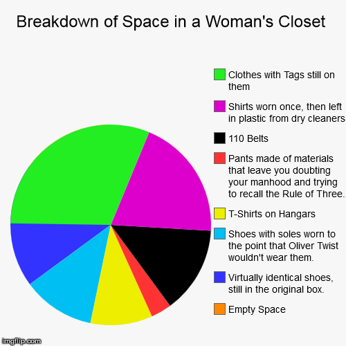 Breakdown of Space in a Woman's Closet | image tagged in funny,pie charts,woman,clothing | made w/ Imgflip chart maker