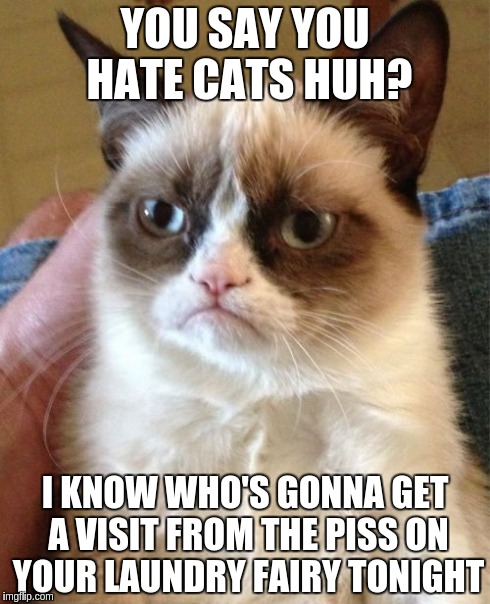 Grumpy Cat | YOU SAY YOU HATE CATS HUH? I KNOW WHO'S GONNA GET A VISIT FROM THE PISS ON YOUR LAUNDRY FAIRY TONIGHT | image tagged in memes,grumpy cat | made w/ Imgflip meme maker