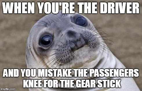 Awkward Moment Sealion | WHEN YOU'RE THE DRIVER AND YOU MISTAKE THE PASSENGERS KNEE FOR THE GEAR STICK | image tagged in memes,awkward moment sealion | made w/ Imgflip meme maker