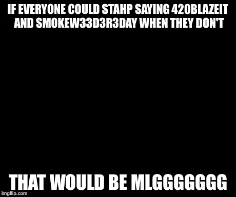 That Would Be Great Meme | IF EVERYONE COULD STAHP SAYING 420BLAZEIT AND SM0KEW33D3R3DAY WHEN THEY DON'T THAT WOULD BE MLGGGGGGG | image tagged in memes,that would be great | made w/ Imgflip meme maker