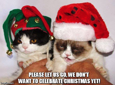 LET US GO | PLEASE LET US GO, WE DON'T WANT TO CELEBRATE CHRISTMAS YET! | image tagged in memes,grumpy cat,grumpy cat christmas | made w/ Imgflip meme maker