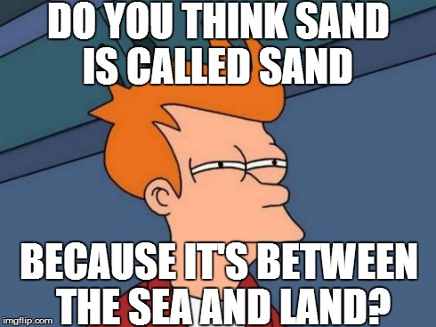 Futurama Fry Meme | DO YOU THINK SAND IS CALLED SAND BECAUSE IT'S BETWEEN THE SEA AND LAND? | image tagged in memes,futurama fry | made w/ Imgflip meme maker