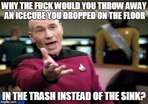 Something I often ask myself. | WHY THE F**K WOULD YOU THROW AWAY AN ICECUBE YOU DROPPED ON THE FLOOR IN THE TRASH INSTEAD OF THE SINK? | image tagged in memes,picard wtf,funny,logic | made w/ Imgflip meme maker
