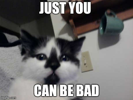 1st simily  cat meme | JUST YOU CAN BE BAD | image tagged in new,grumpy cat addition,a,amazing,kitten and cat | made w/ Imgflip meme maker