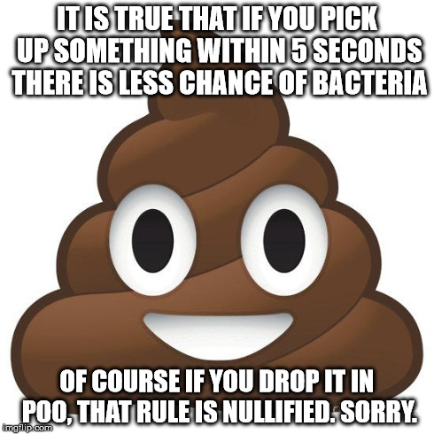 poop | IT IS TRUE THAT IF YOU PICK UP SOMETHING WITHIN 5 SECONDS THERE IS LESS CHANCE OF BACTERIA OF COURSE IF YOU DROP IT IN POO, THAT RULE IS NUL | image tagged in poop | made w/ Imgflip meme maker