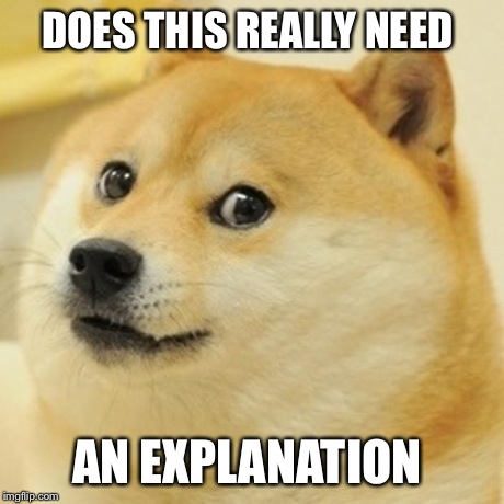 Doge Meme | DOES THIS REALLY NEED AN EXPLANATION | image tagged in memes,doge | made w/ Imgflip meme maker
