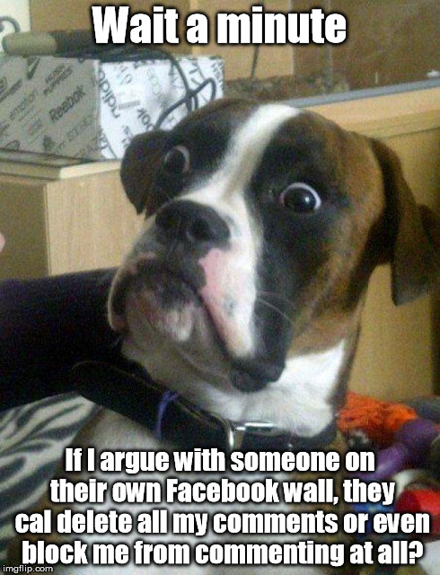 Blankie the Shocked Dog | Wait a minute If I argue with someone on their own Facebook wall, they cal delete all my comments or even block me from commenting at all? | image tagged in blankie the shocked dog,memes | made w/ Imgflip meme maker