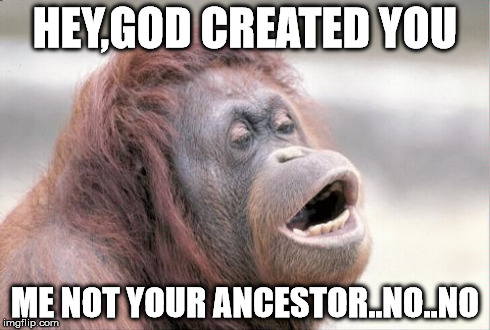 Monkey OOH Meme | HEY,GOD CREATED YOU ME NOT YOUR ANCESTOR..NO..NO | image tagged in memes,monkey ooh | made w/ Imgflip meme maker