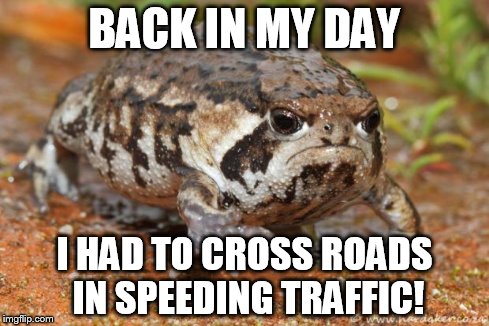 Grumpy Toad | BACK IN MY DAY I HAD TO CROSS ROADS IN SPEEDING TRAFFIC! | image tagged in memes,grumpy toad | made w/ Imgflip meme maker